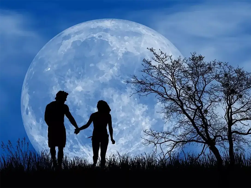 Love, Healing, and the Power of Found Family